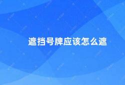 遮挡号牌应该怎么遮（如何正确使用遮挡装置）