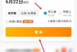 两个大人带一个小孩怎么买机票(订飞机票如何一起订三个人的票)